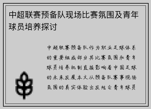 中超联赛预备队现场比赛氛围及青年球员培养探讨